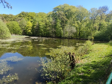 An der Buschkoppel